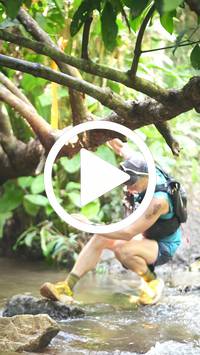 BIB:  <button type="button" onclick="openModal(27521944)" class="btn btn-primary btn-sm float-right" data-toggle="modal" data-target=".modal-high-quality">
                <i class="fa fa-download"></i> Download
                </button>